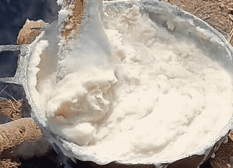 非洲主食大揭秘：四种食物撑起饮食插图7