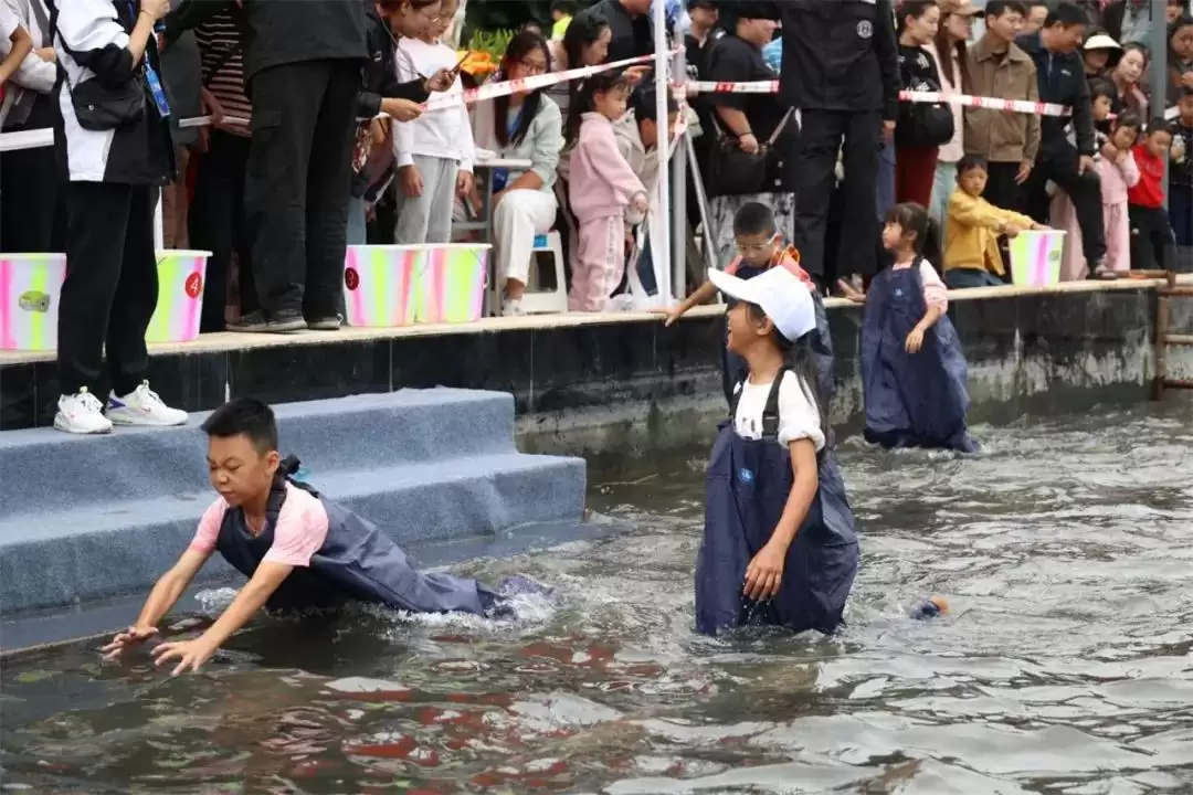 西昌邛海开海节盛大举行，568斤鱼王拍出高价88万！插图16