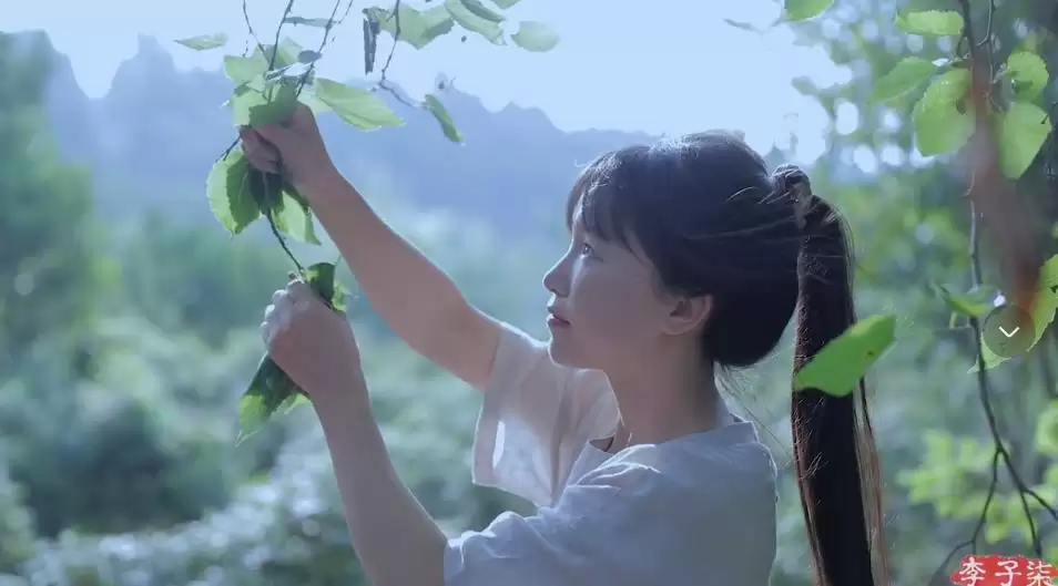 李子柒新视频：4个“非遗”惊艳众人插图1