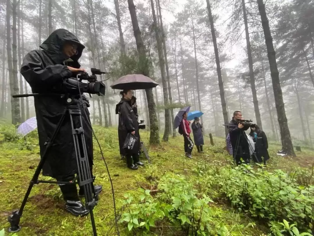 记者节：今日把头条留给西昌默默奉献的记者们！插图20