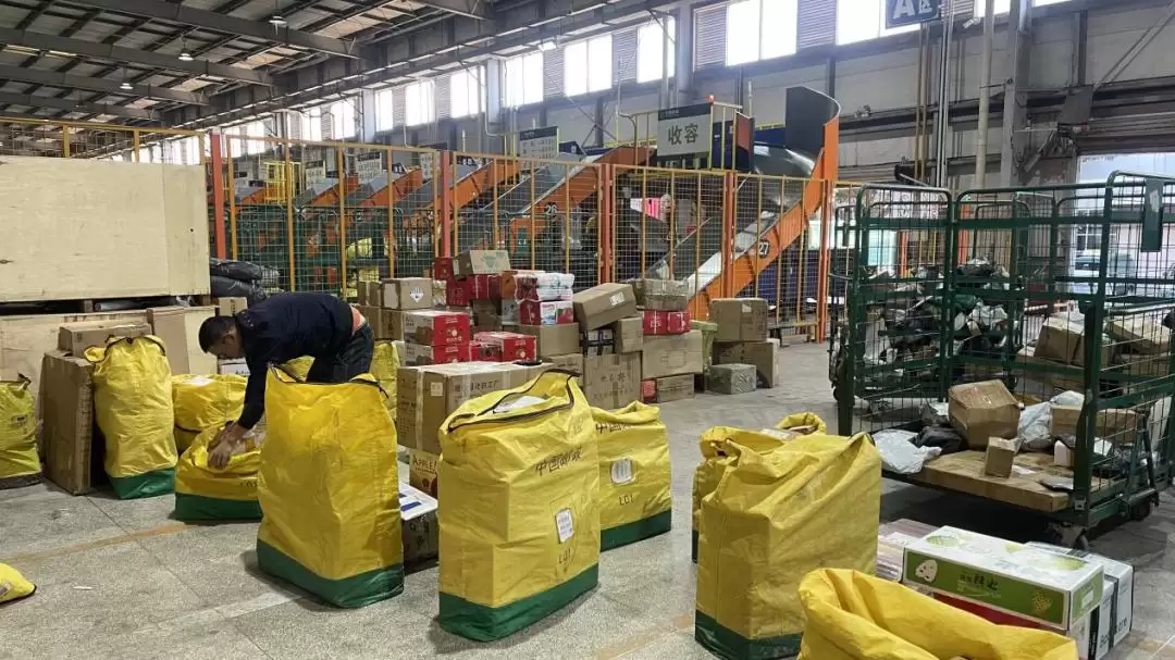 凉山邮政迎战超长“双十一”，34天配送高峰挑战！插图1