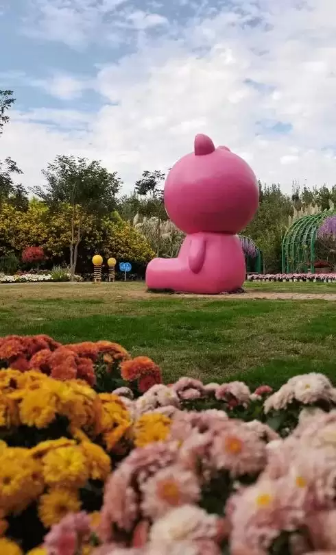 2024西昌邛海湿地第五届金秋菊展圆满落下帷幕！插图5