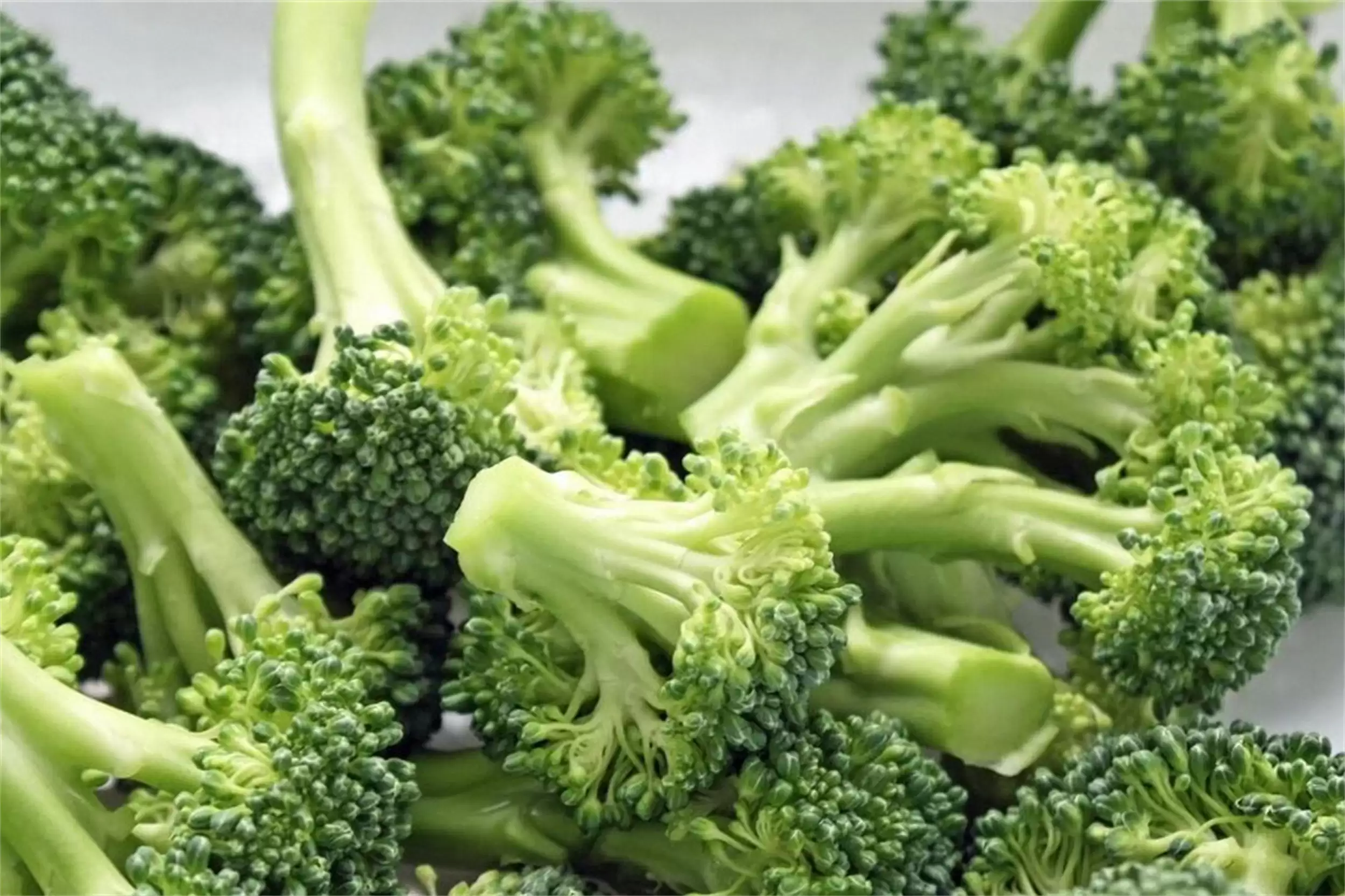 出伏饮食指南：“3根2菜”助力健康插图10