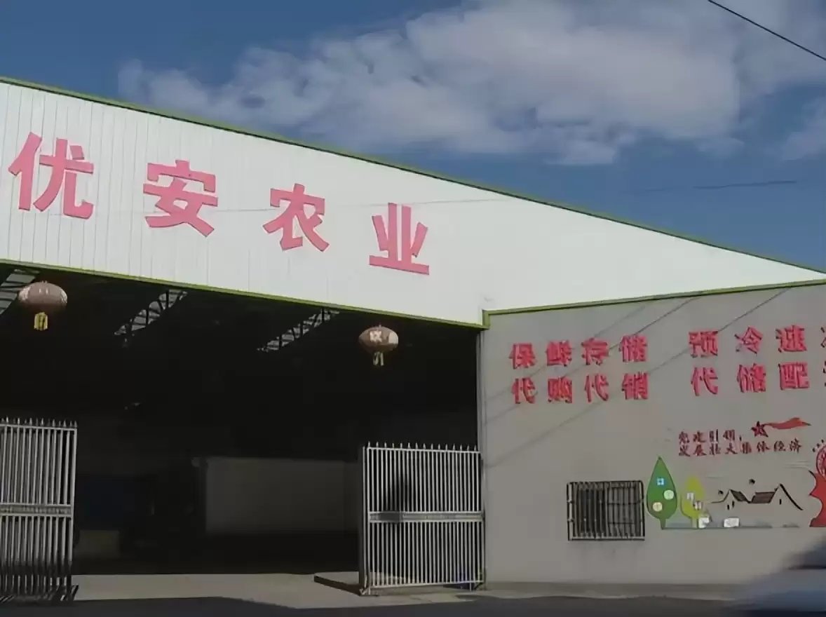 西昌何以在全州“领跑”，发展优势与特色受关注！插图12