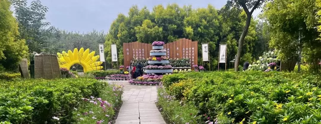 西昌菊展盛大开幕，135种37000多盆菊花惊艳全场！插图6
