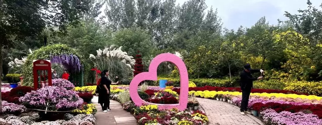 西昌菊展盛大开幕，135种37000多盆菊花惊艳全场！插图5
