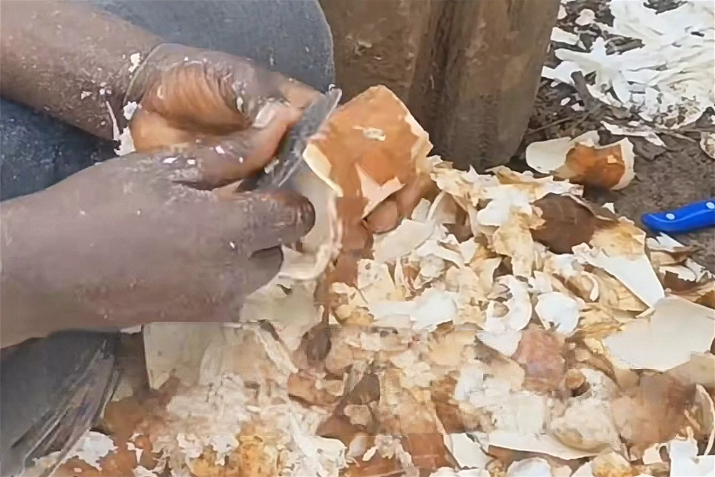 非洲主食大揭秘：四种食物撑起饮食插图5