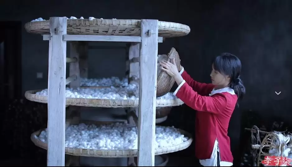 李子柒新视频：4个“非遗”惊艳众人插图6
