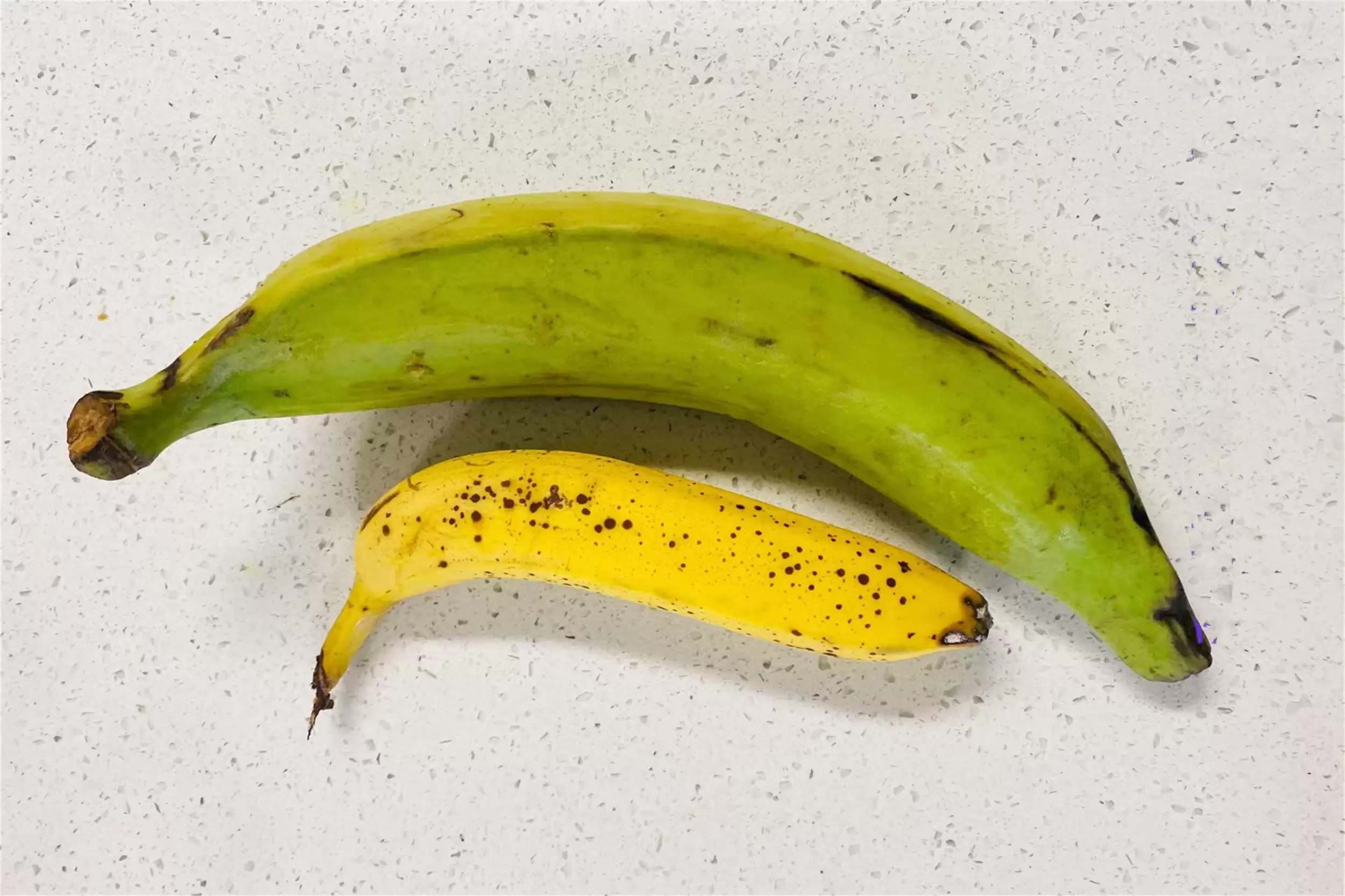 非洲主食大揭秘：四种食物撑起饮食插图15