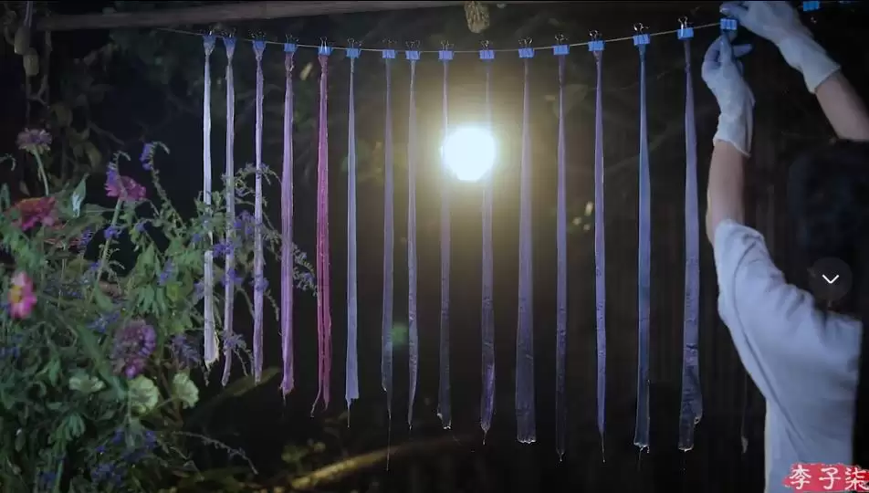 李子柒新视频：4个“非遗”惊艳众人插图17