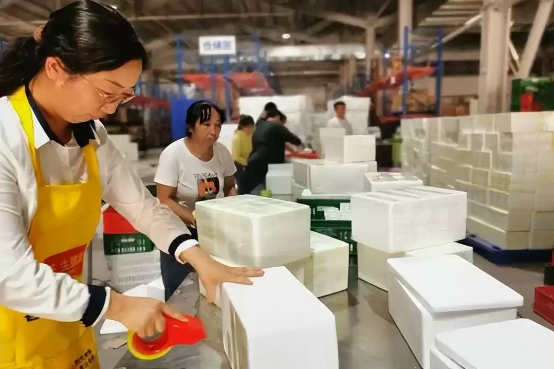 西昌何以在全州“领跑”，发展优势与特色受关注！插图17