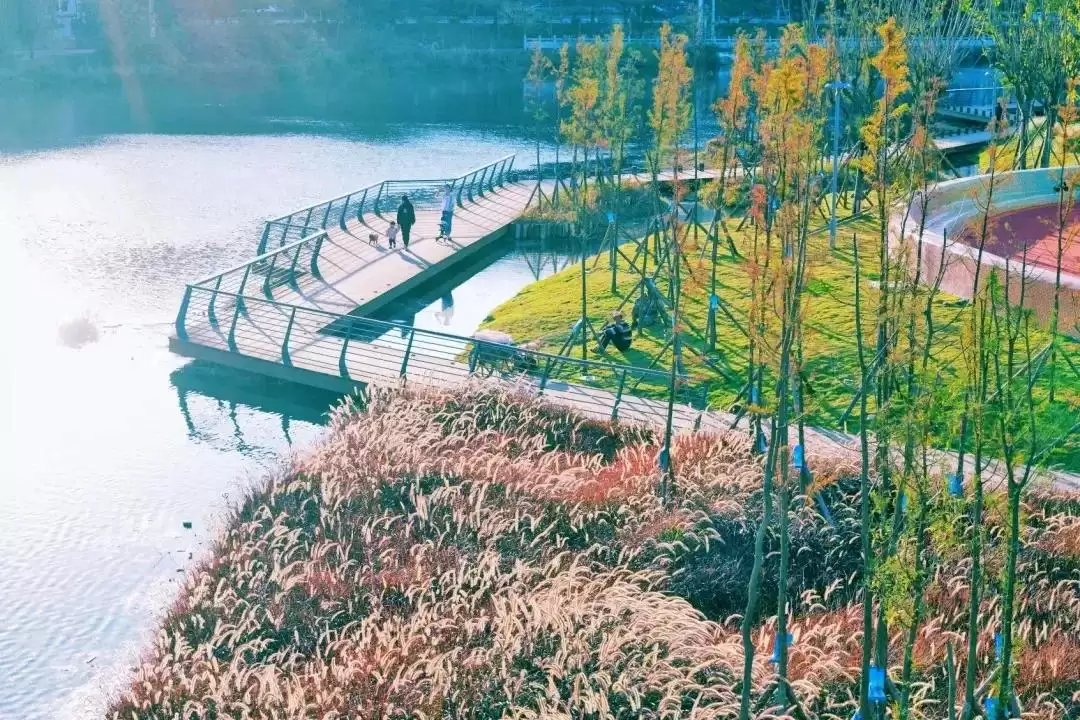 西昌河湖长制成效显，绘就人水和谐美丽新画卷！插图6