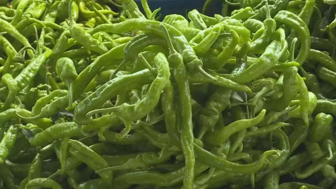 春华秋实又一年，西昌丰收盛景喜获丰收成果！插图9