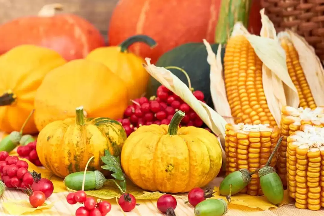 秋分饮食指南：吃谷咬薯尝白顺时安插图1