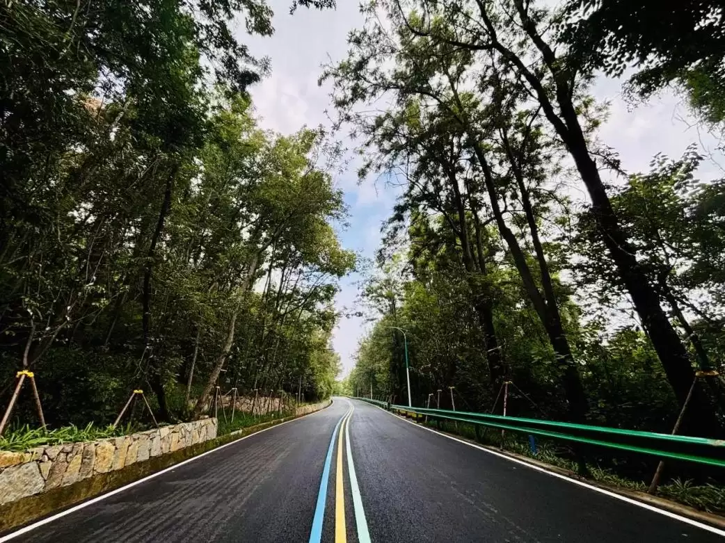 泸山景区提质升级“焕新”，旅游品质提升新形象！插图9