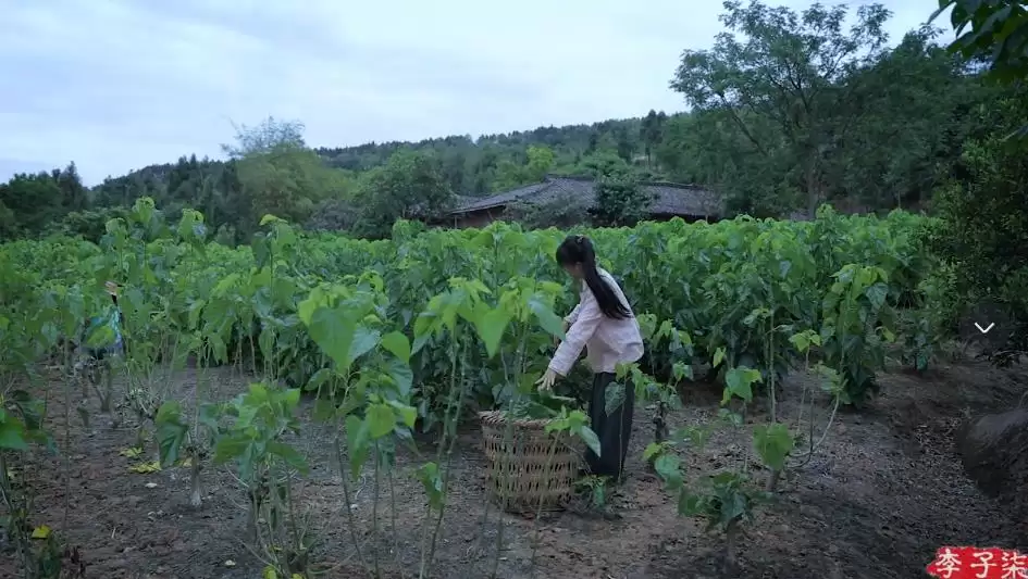 李子柒新视频：4个“非遗”惊艳众人插图2