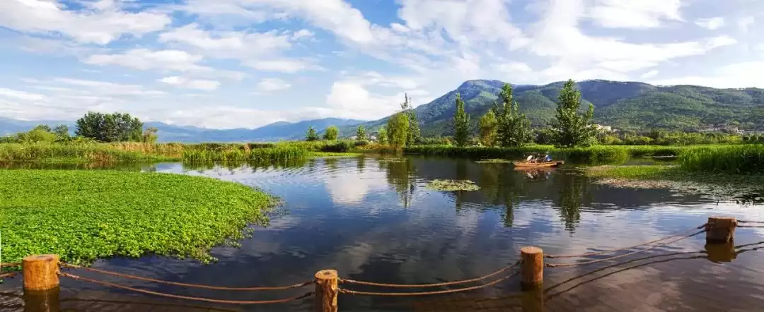 西昌河湖长制成效显，绘就人水和谐美丽新画卷！插图8