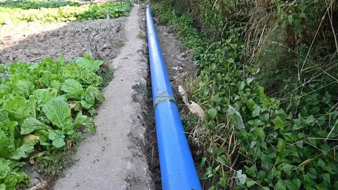 会东县住建局积极回应民生关切，解决污水直排与防洪排涝问题插图2