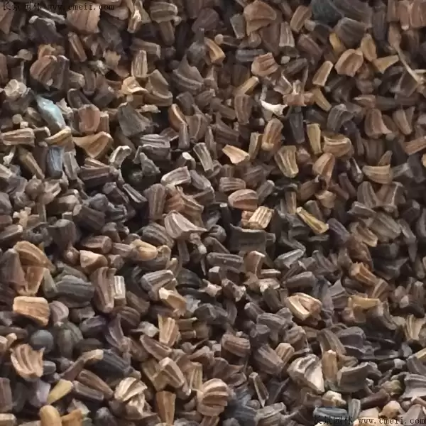 艾蒿种子如何获取, 种植有何技巧?-会东网