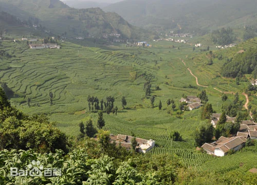 专题-鲁吉镇-会东网