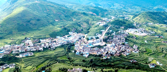 专题-铁柳镇-会东网