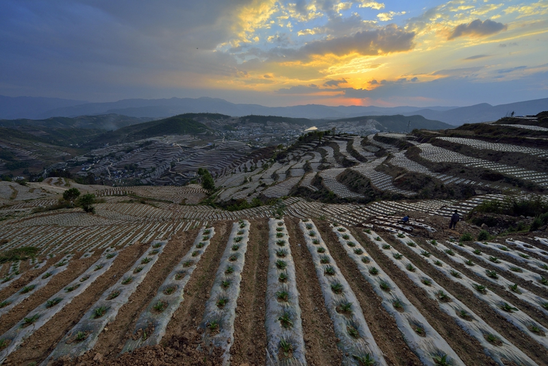 专题-嘎吉镇-会东网