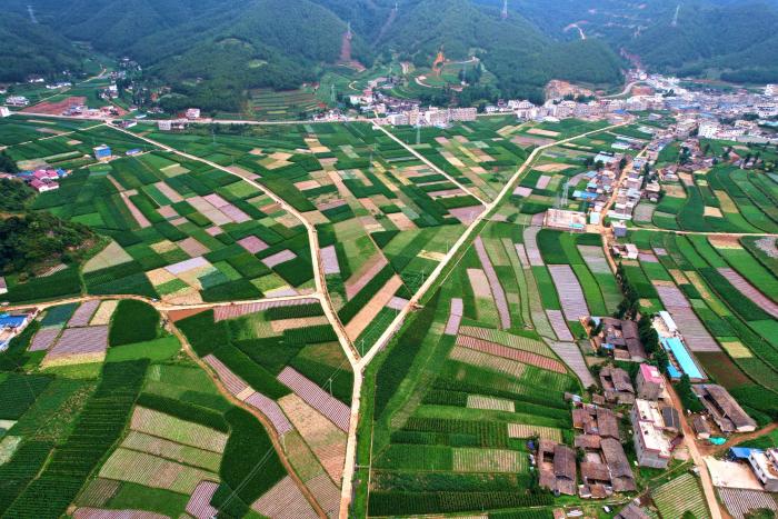 专题-堵格镇-会东网