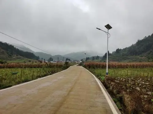 专题-新街镇-会东网