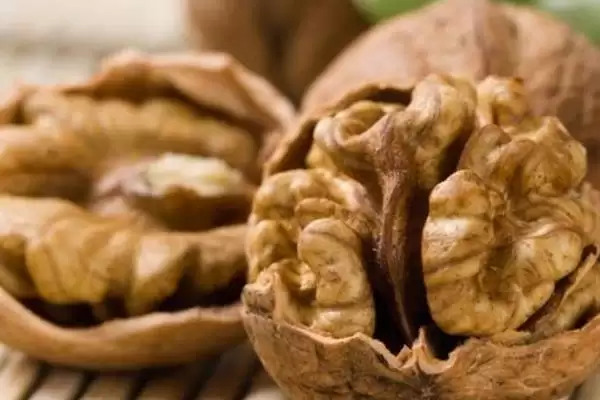 平山特产介绍 (平山特产是否有白灵菇等)插图3