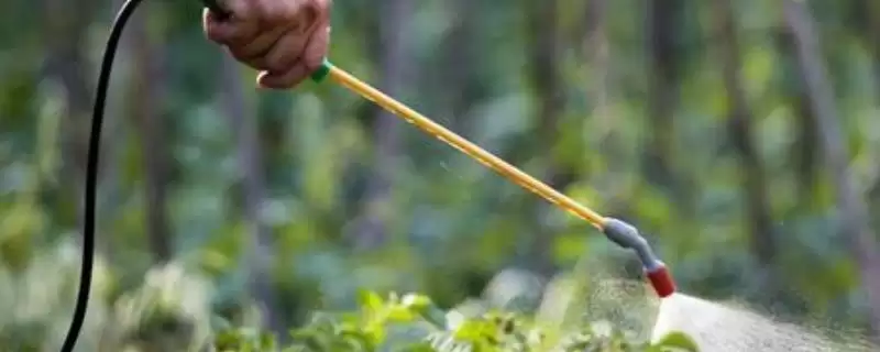 毒死蜱防治害虫种类 (毒死蜱是否可防治多种害虫)-会东网