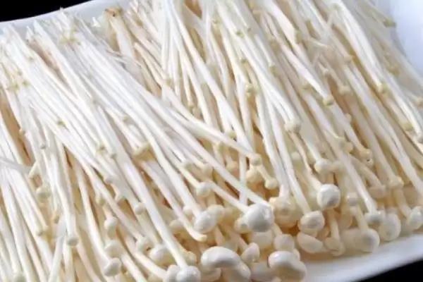 平山特产介绍 (平山特产是否有白灵菇等)插图4