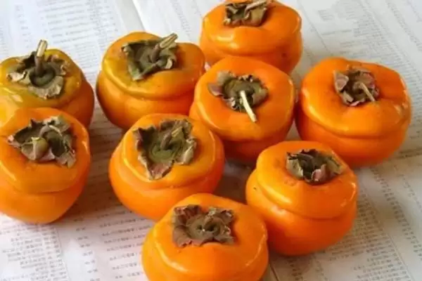 平山特产介绍 (平山特产是否有白灵菇等)插图6