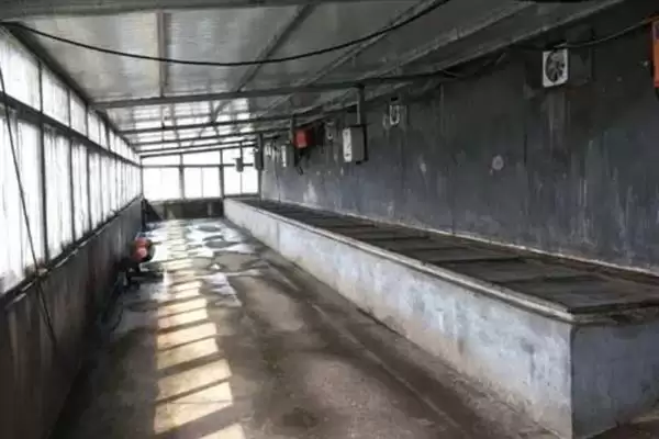 蟑螂饲育容器 (是否可用瓦缸饲育蟑螂)插图1 蟑螂饲育容器 (是否可用瓦缸饲育蟑螂)插图1