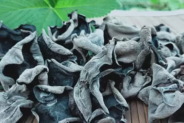 平山特产介绍 (平山特产是否有白灵菇等)插图5