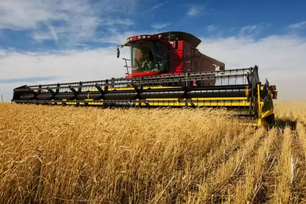 三农工作重要性阐述 (三农工作对经济持续健康发展是否重要)插图3