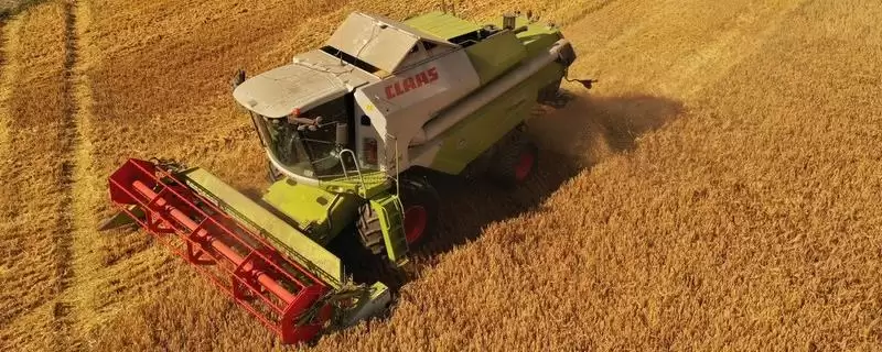 小麦收割常见时间 (6 月中旬是否经常进行小麦收割)-会东网