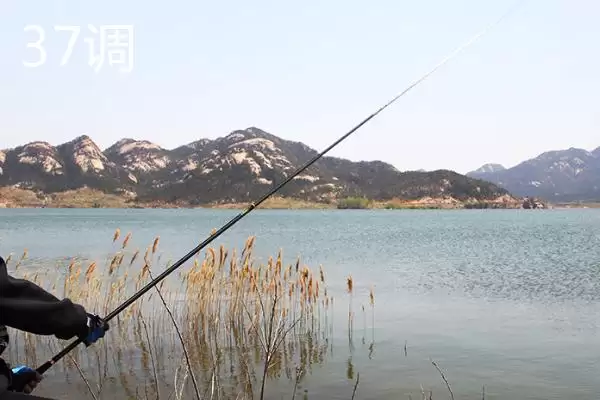 新手鱼竿选用建议 (新手是否建议使用 37 调鱼竿钓小鱼)插图5