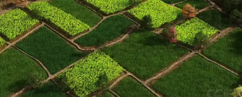 一亩地面积计算 (一亩地长宽乘积是否为 667 平方米)-会东网