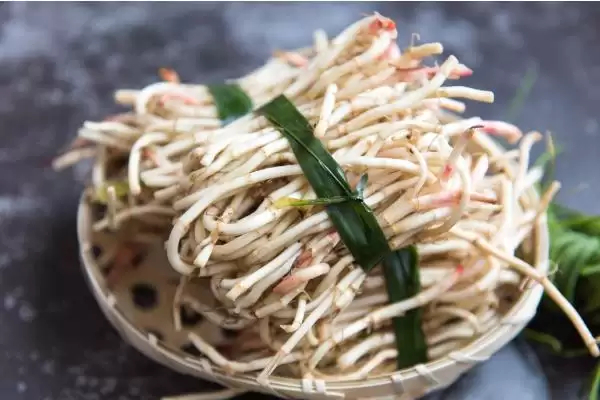 种植野菜利润因素 (种植野菜利润是否因品种等而异)插图4