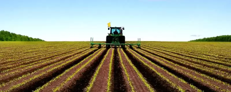 三农工作重要性阐述 (三农工作对经济持续健康发展是否重要)-会东网