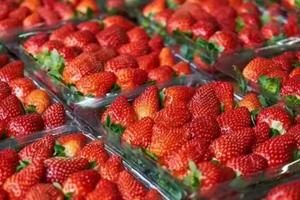 常见好吃水果列举 (常见好吃水果是否有丑橘等)插图6