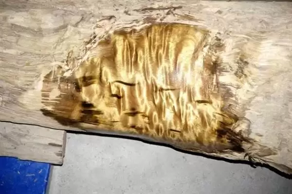 红木常见种类列举 (红木常见是否有降香黄檀等)插图11 红木常见种类列举 (红木常见是否有降香黄檀等)插图11