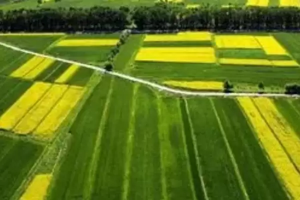 三农工作重要性阐述 (三农工作对经济持续健康发展是否重要)插图1