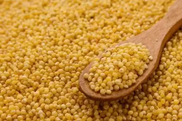 五谷指代内容 (五谷是否指稻、黍、稷、麦、菽)插图3 五谷指代内容 (五谷是否指稻、黍、稷、麦、菽)插图3