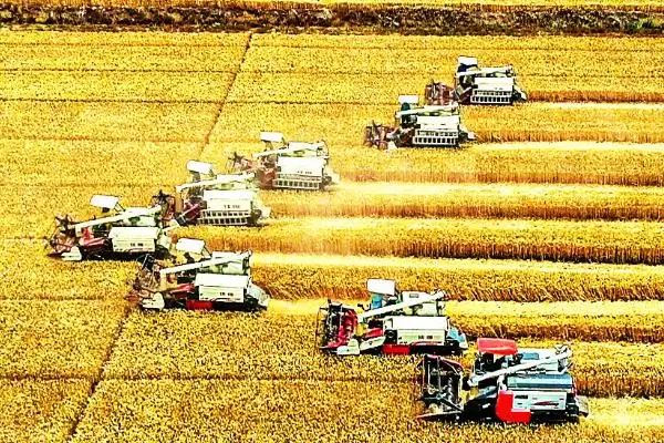 三农工作重要性阐述 (三农工作对经济持续健康发展是否重要)插图2