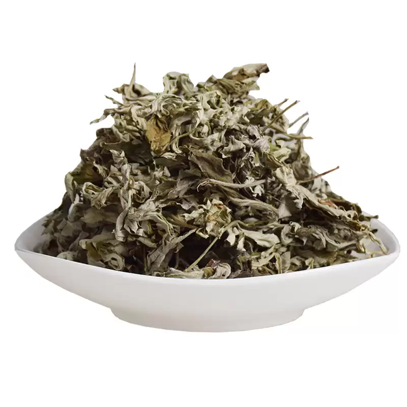 艾叶种植的具体方法 (艾叶怎样进行种植)?插图5 艾叶种植的具体方法 (艾叶怎样进行种植)?插图5