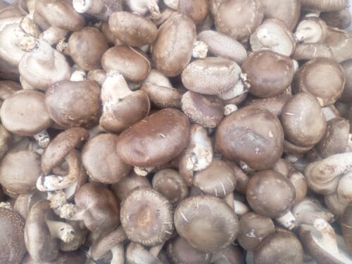 冕宁：美食与特产的宝藏之地插图7