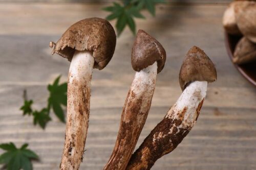 云南美食探秘：六大地道小吃与特色菜肴，品味云南独特风味插图12