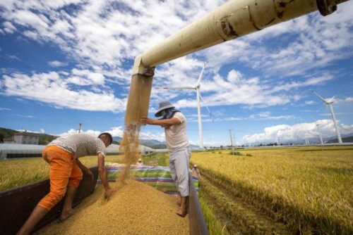 《凉山彝族自治州安宁河流域保护条例》施行一周年：高质量发展成效显著插图2