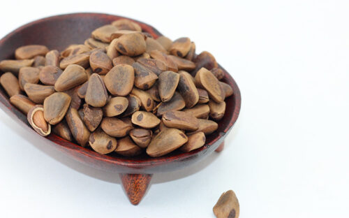 中国国家地理标志产品___会东松籽插图1 中国国家地理标志产品___会东松籽插图1